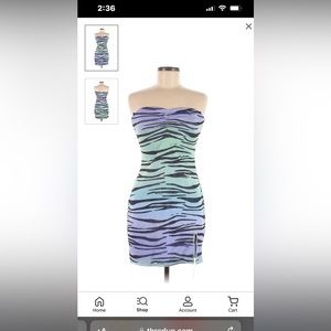 NWT In The Fields Mesh Tiger Princess Polly Mini Dress